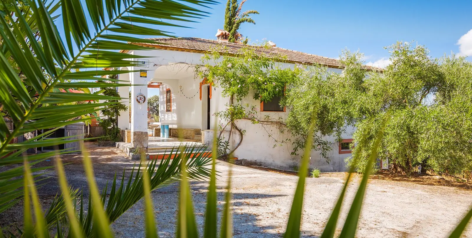 Sale of finca - cortijo in Ronda 19