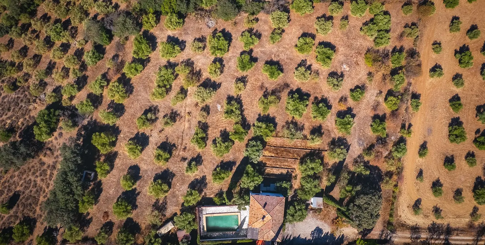 Sale of finca - cortijo in Ronda 40
