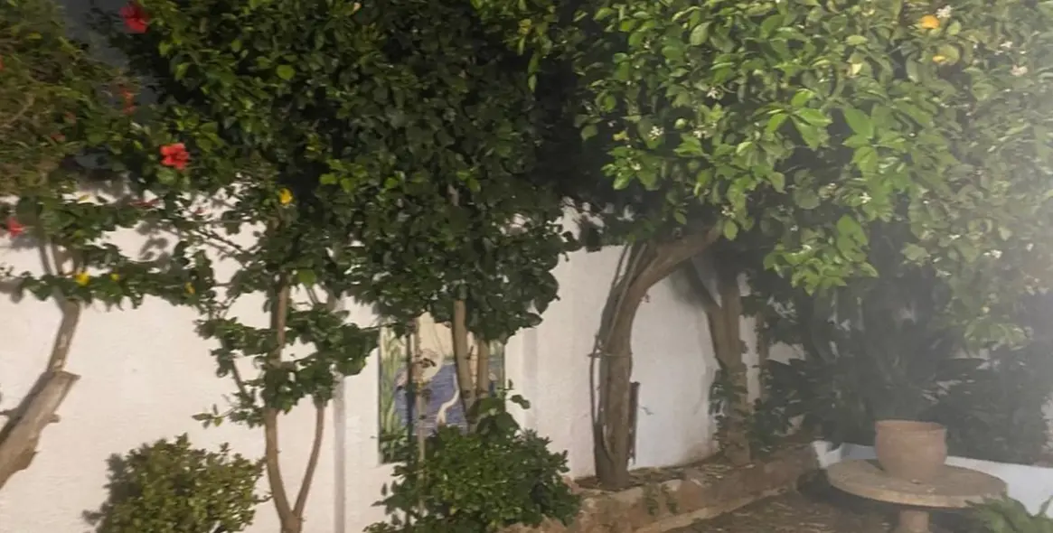 Продажа  отдельно стоящей виллы в Marbella (район Marbella) 6