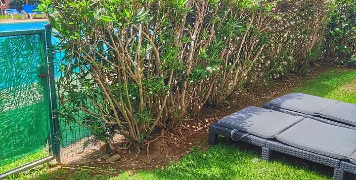 Sale of ground floor apartment in Elviria 3