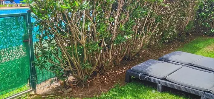 Sale of ground floor apartment in Elviria 2