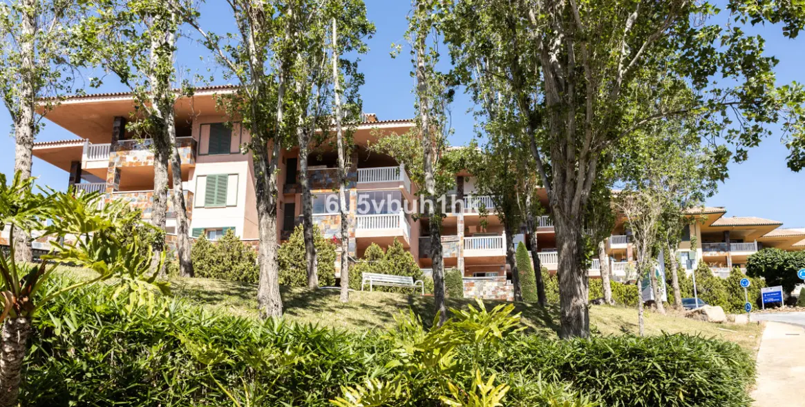 Sale of penthouse in Higueron 6