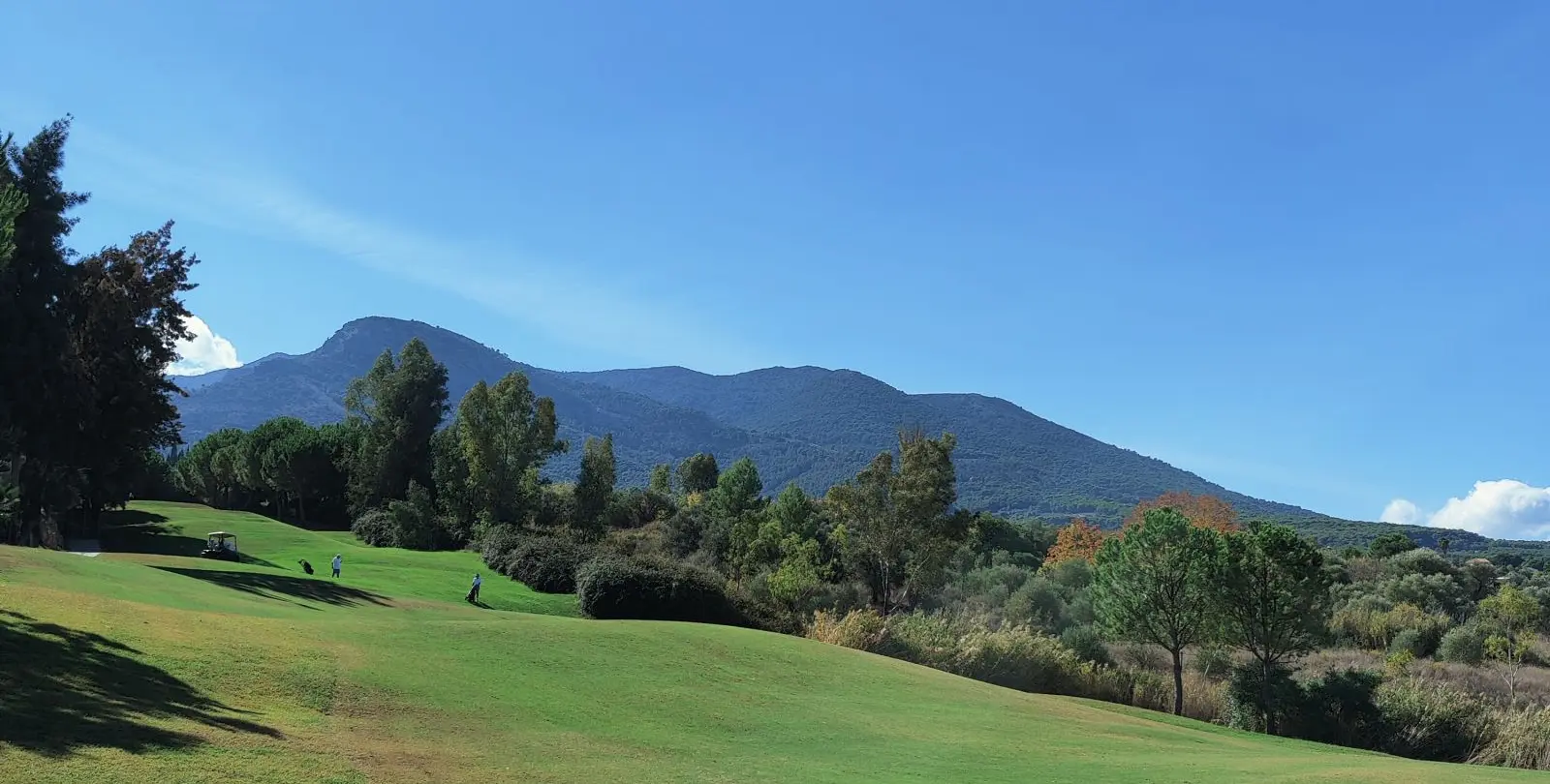 Sale of semi-detached house in Lauro Golf 37