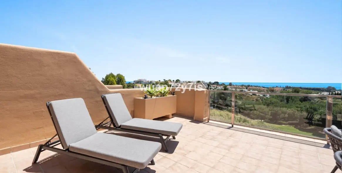 Продажа пентхауса в Selwo 4