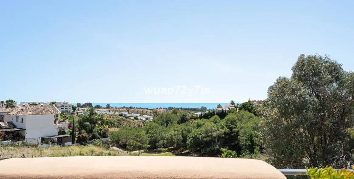 Продажа пентхауса в Selwo 5