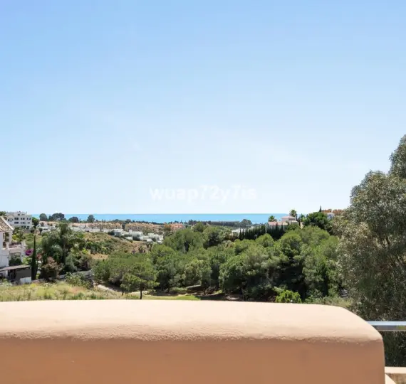 Продажа пентхауса в Selwo