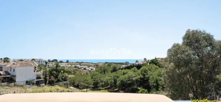 Продажа пентхауса в Selwo 4