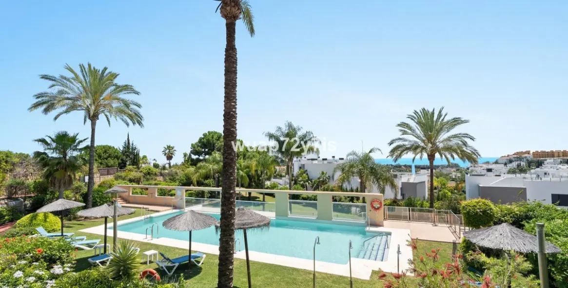 Продажа пентхауса в Selwo 7