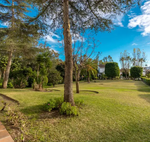 Sale of ground floor apartment in Nueva Andalucía