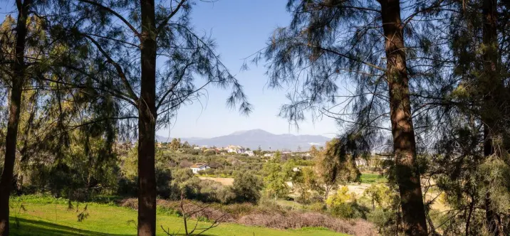 Продажа таунхауса в Alhaurín de la Torre 4