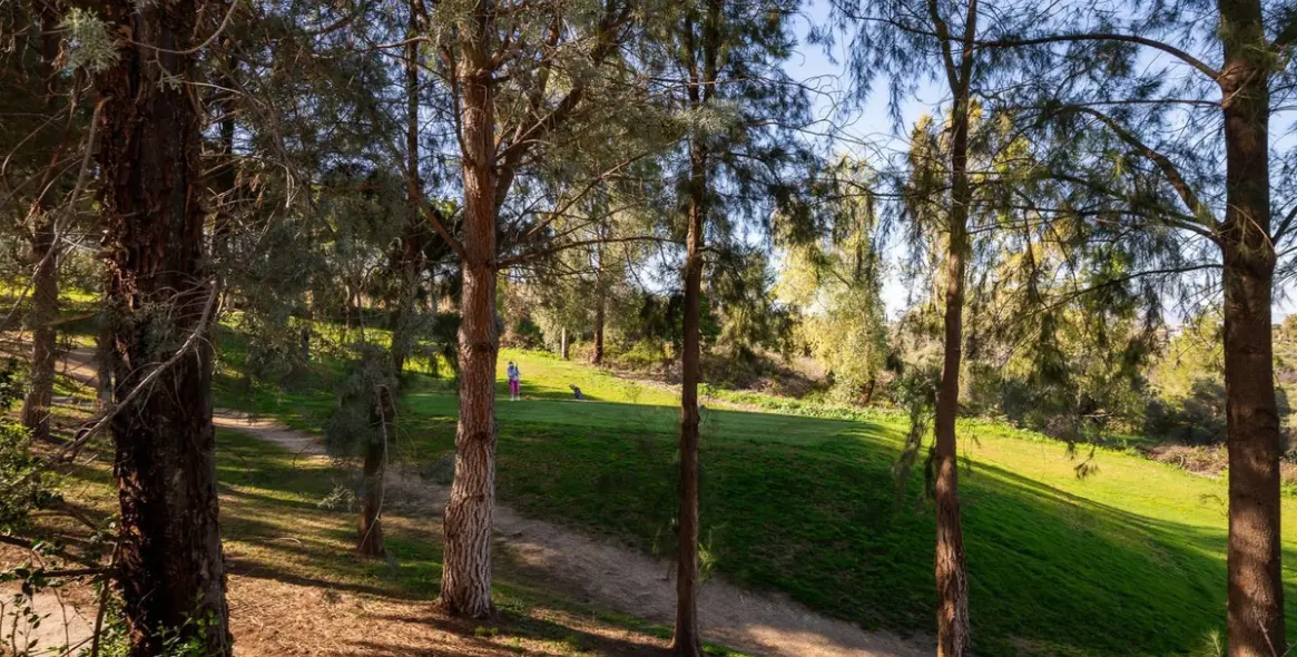 Продажа таунхауса в Alhaurín de la Torre 7