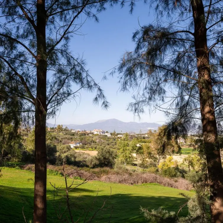 Sale of townhouse in Alhaurín de la Torre