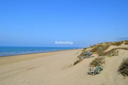 Image 4 thumb
