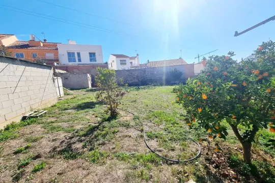 Image 4 thumb