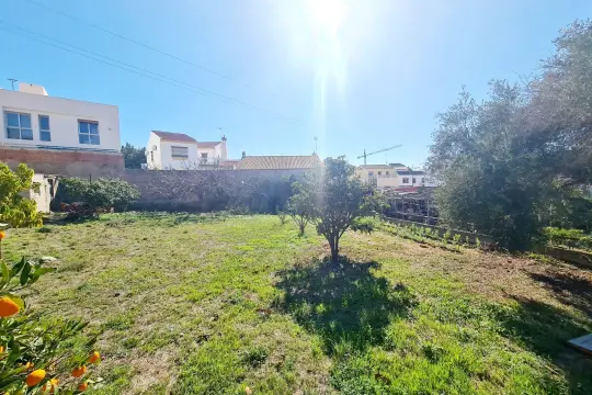 Image 6 thumb