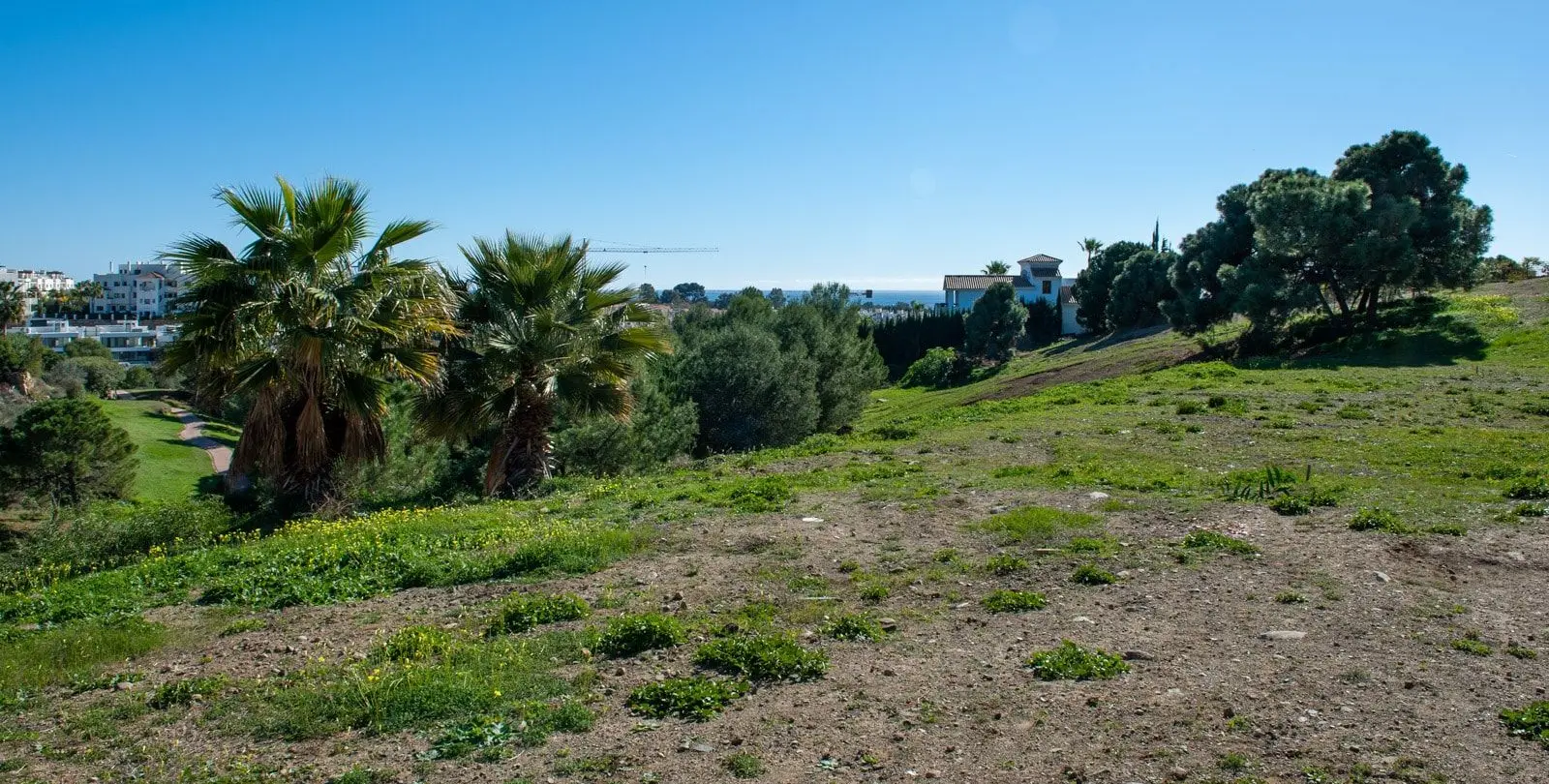 Sale of residential plot in New Golden Mile 1