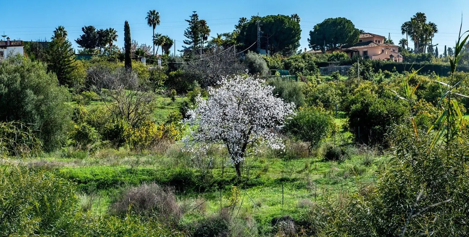 Sale of residential plot in New Golden Mile 16