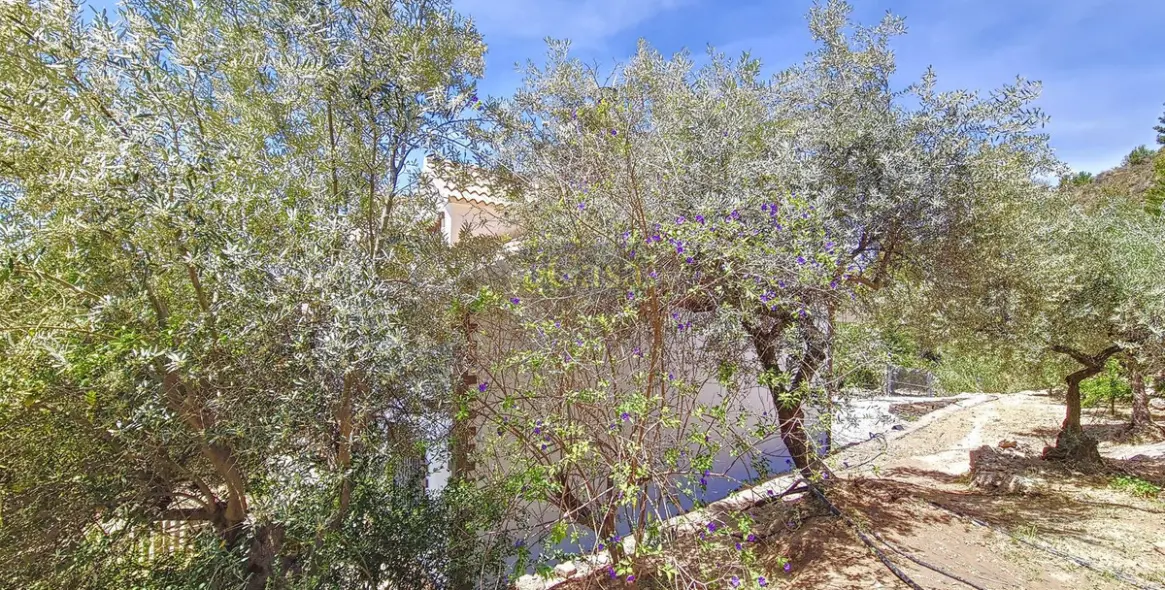 Продажа  отдельно стоящей виллы в Canillas de Albaida 49