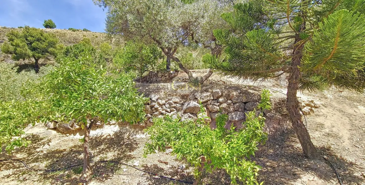 Продажа  отдельно стоящей виллы в Canillas de Albaida 51