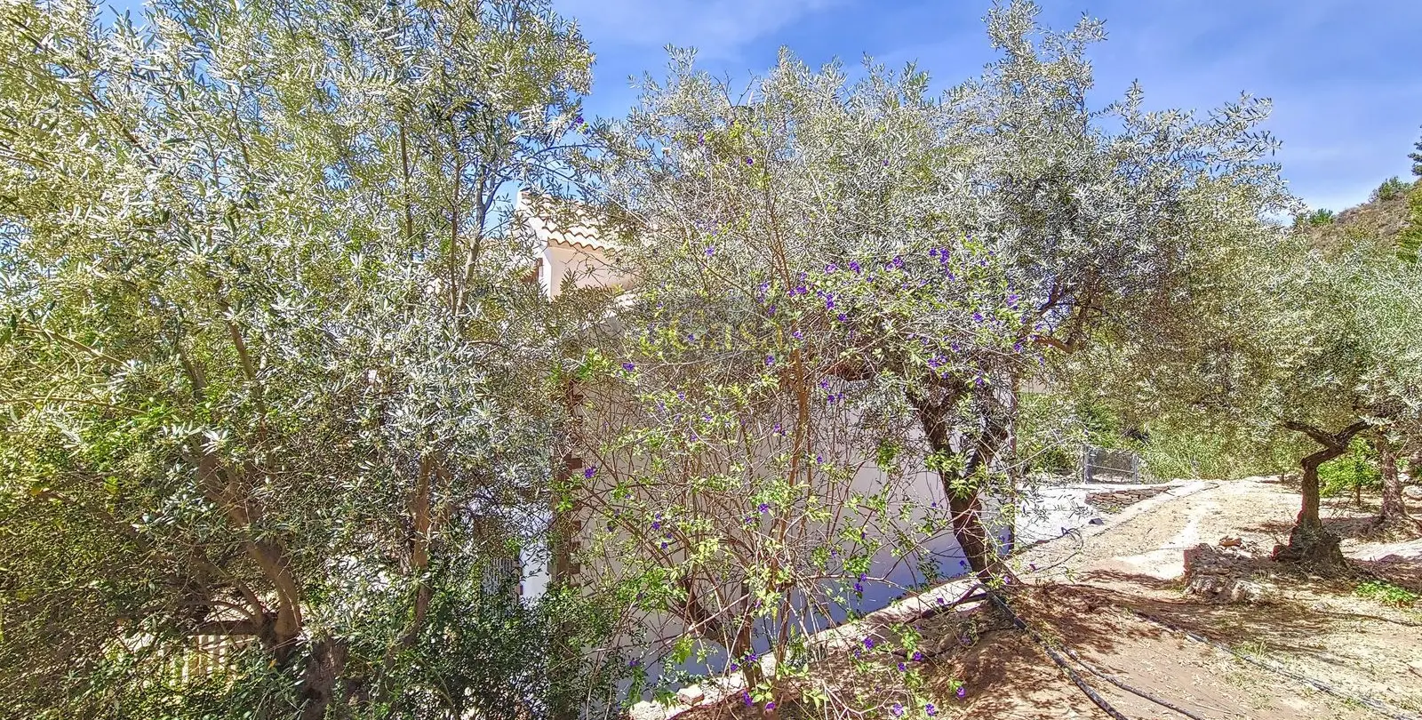 Продажа  отдельно стоящей виллы в Canillas de Albaida 49