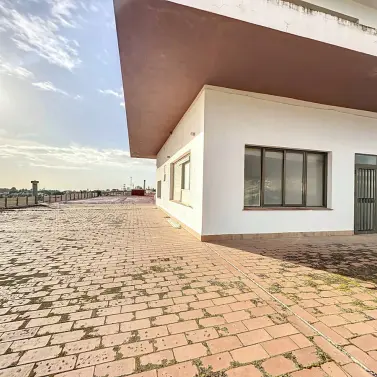 Sale of commercial premises in Cancelada