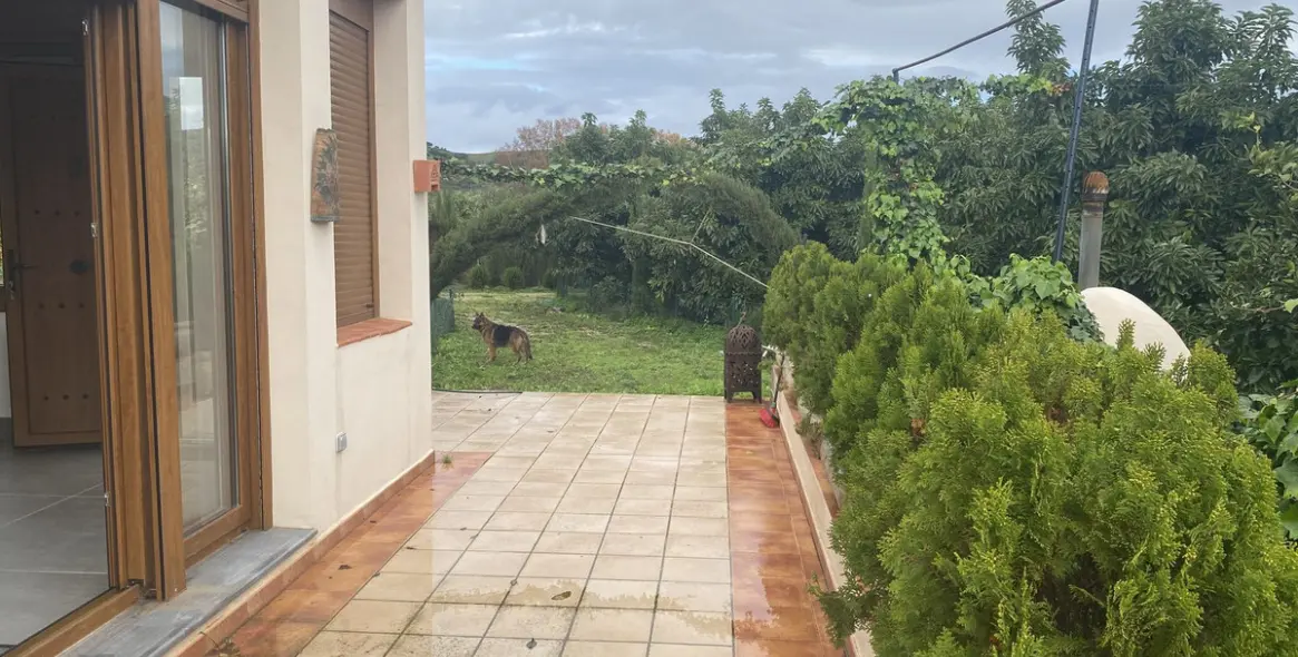 Venta de parcela residencial en Sotogrande 8