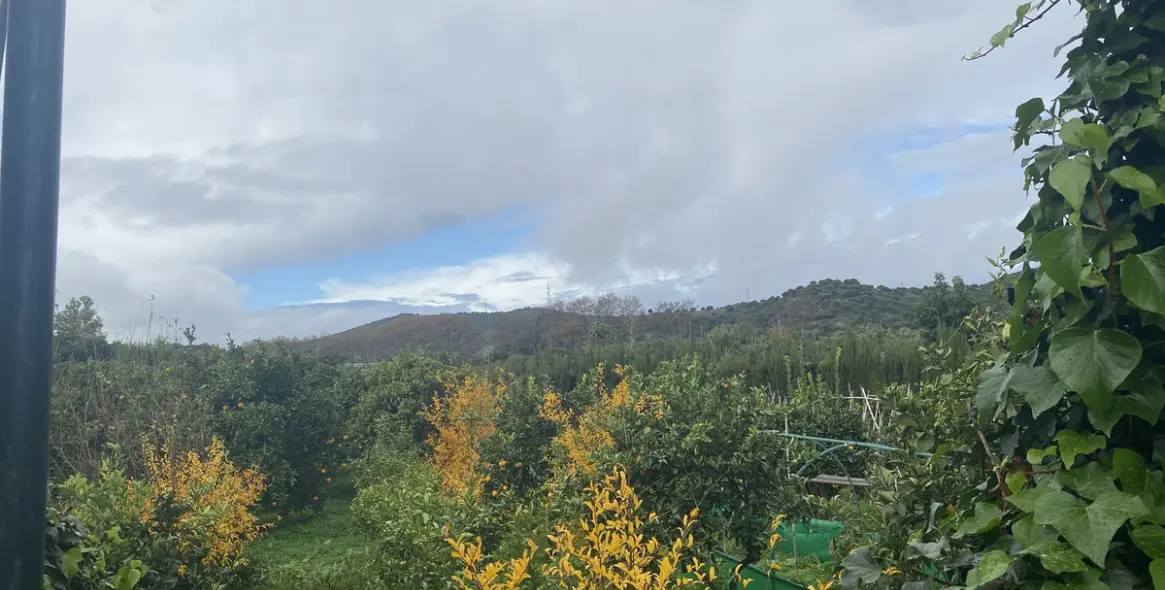 Venta de parcela residencial en Sotogrande 14