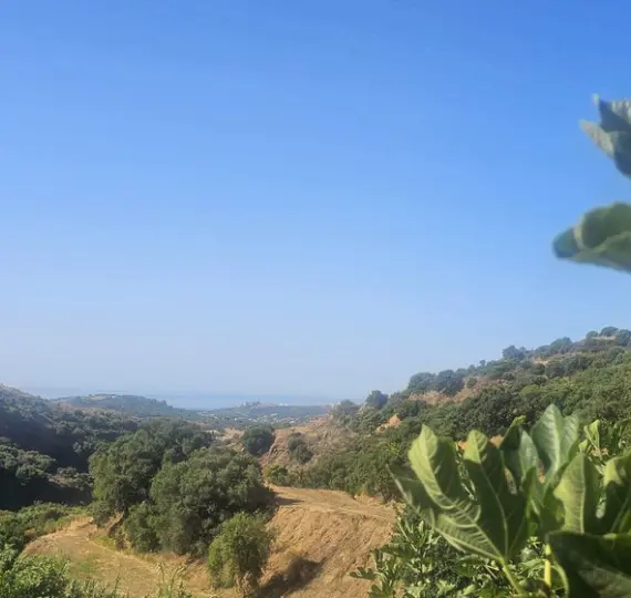 Venta de finca - cortijo en Estepona