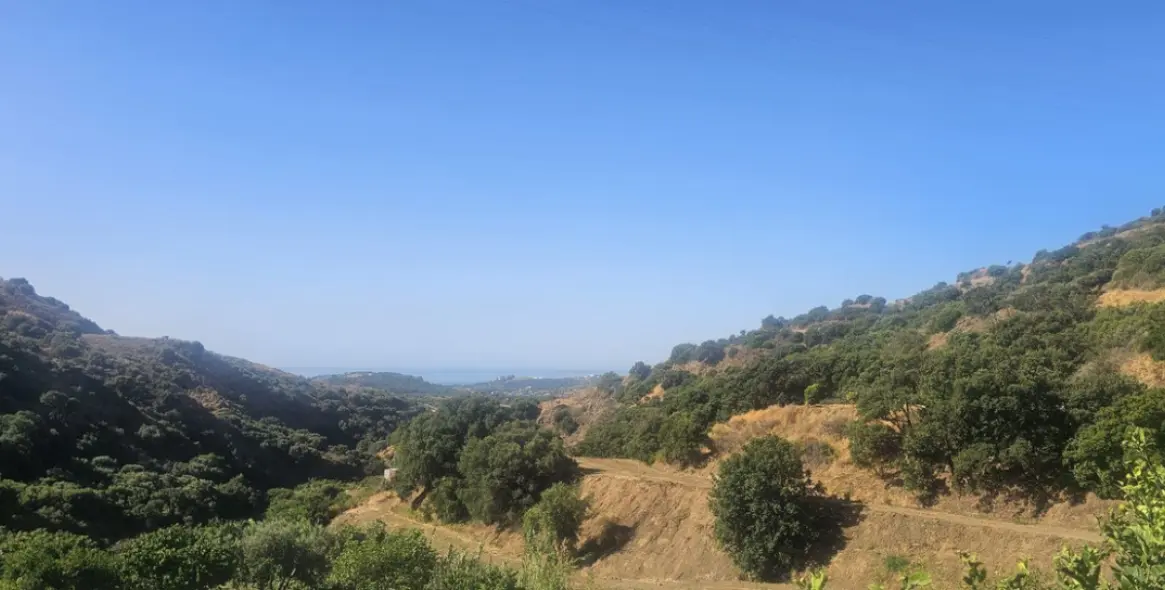 Venta de finca - cortijo en Estepona 7