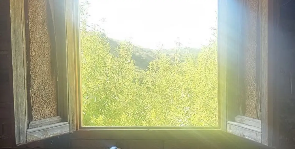 Venta de finca - cortijo en Estepona 11