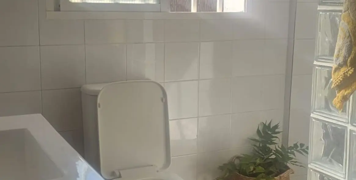 Venta de finca - cortijo en Estepona 12