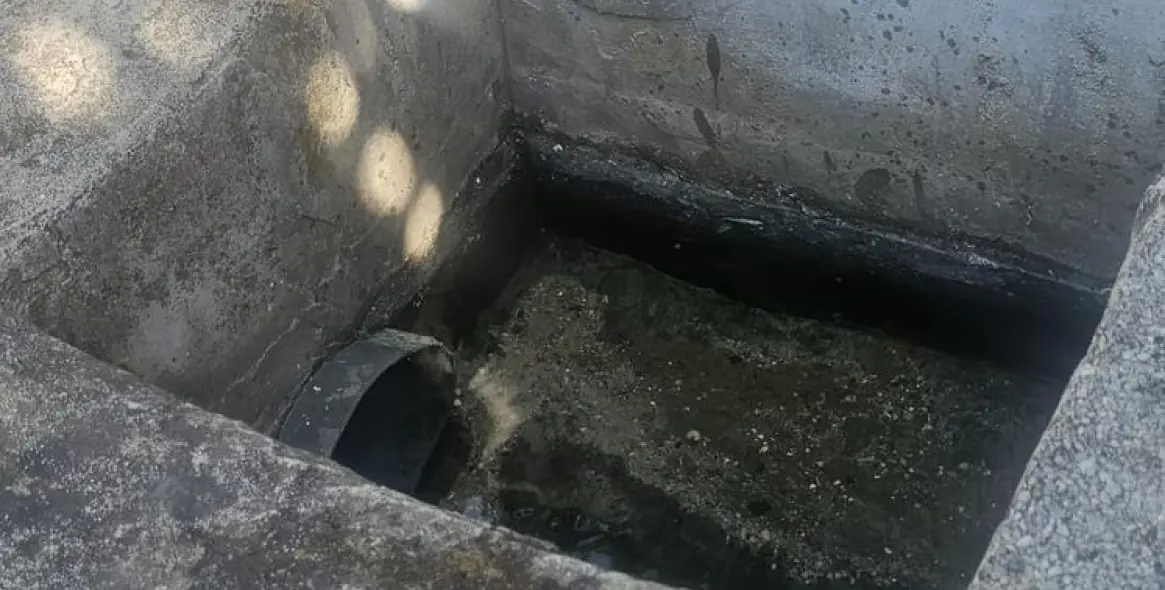 Venta de finca - cortijo en Estepona 14