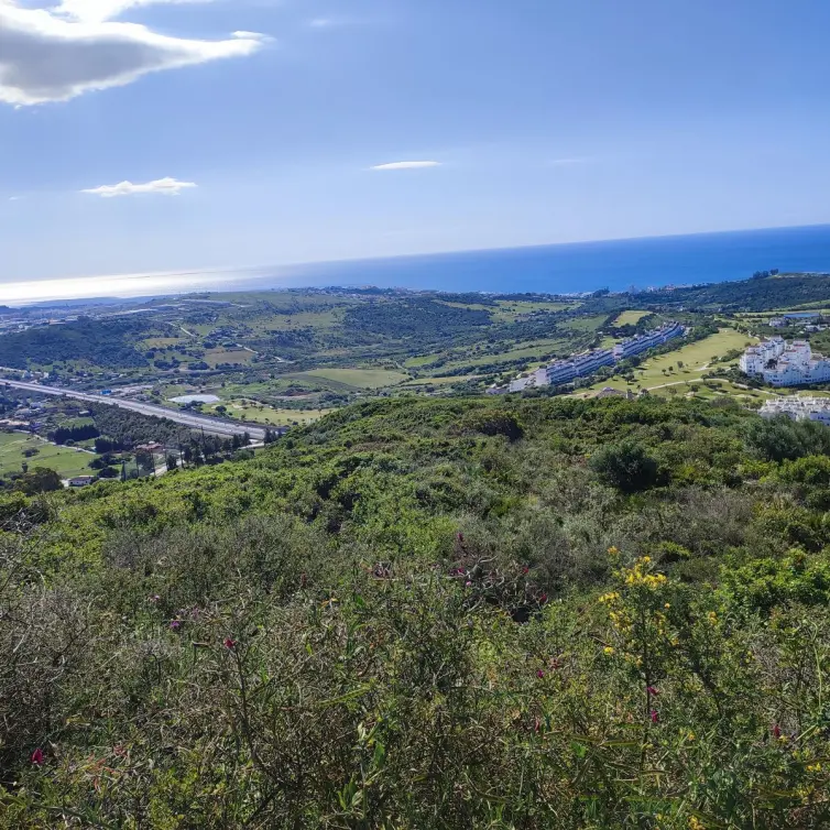 Продажа  жилого участка в Estepona