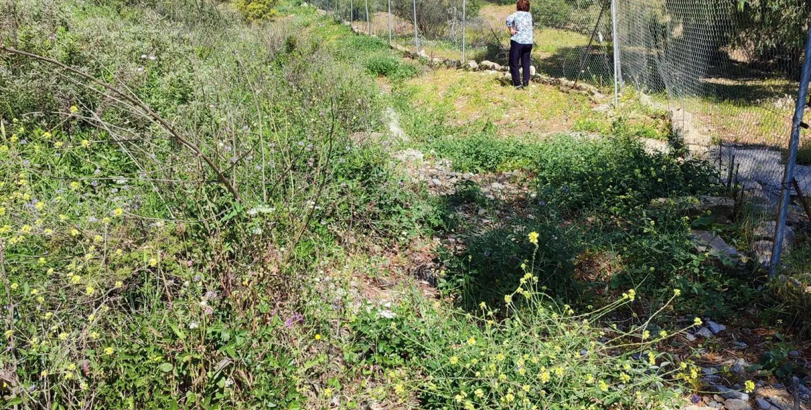 Продажа  жилого участка в Estepona 7