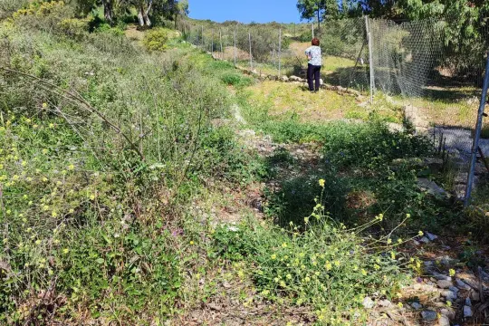 Image 7 thumb