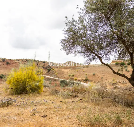 Жилой участок R4438477