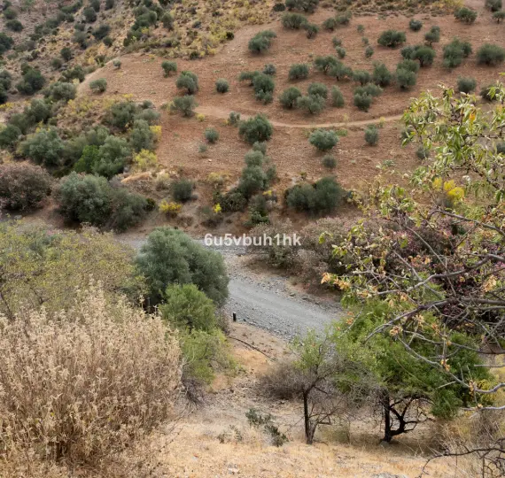 Жилой участок R4438477