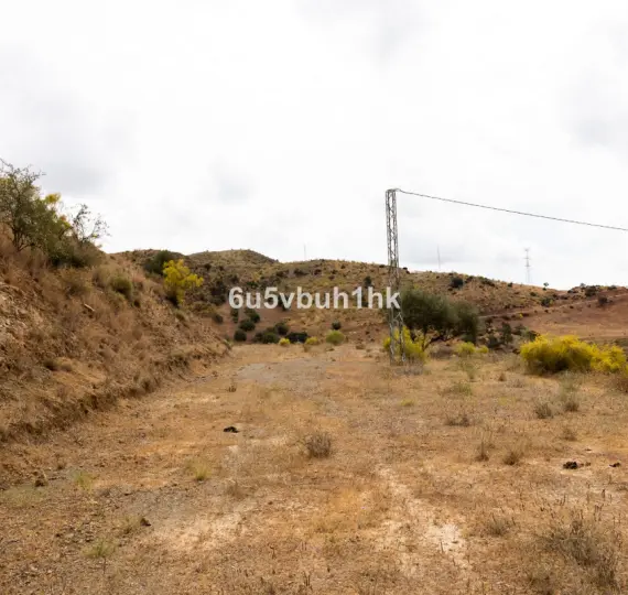 Жилой участок R4438477