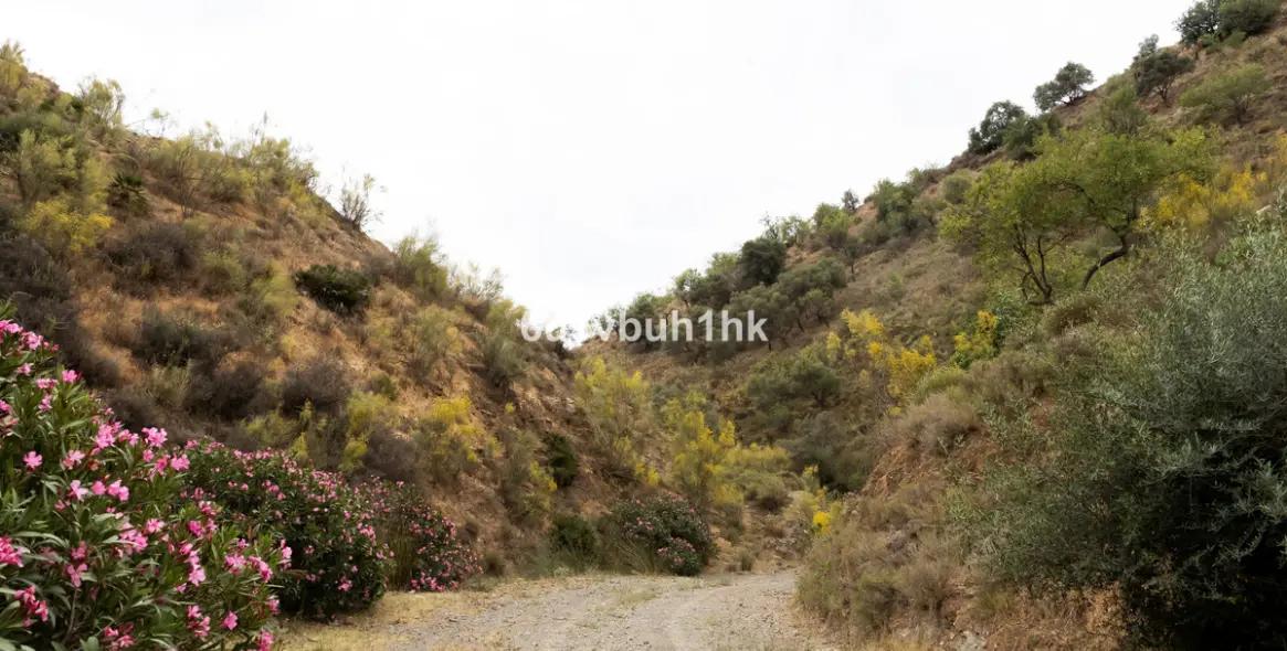 Продажа  жилого участка в Malaga (район Provincia de Málaga) 7