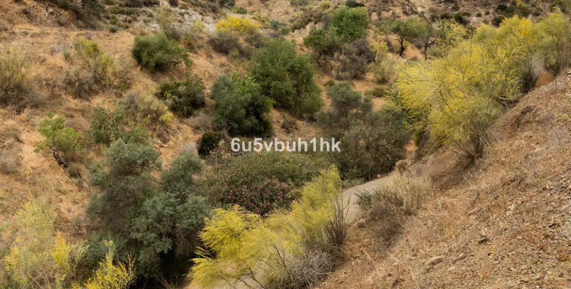 Продажа  жилого участка в Estacion de Cartama 13