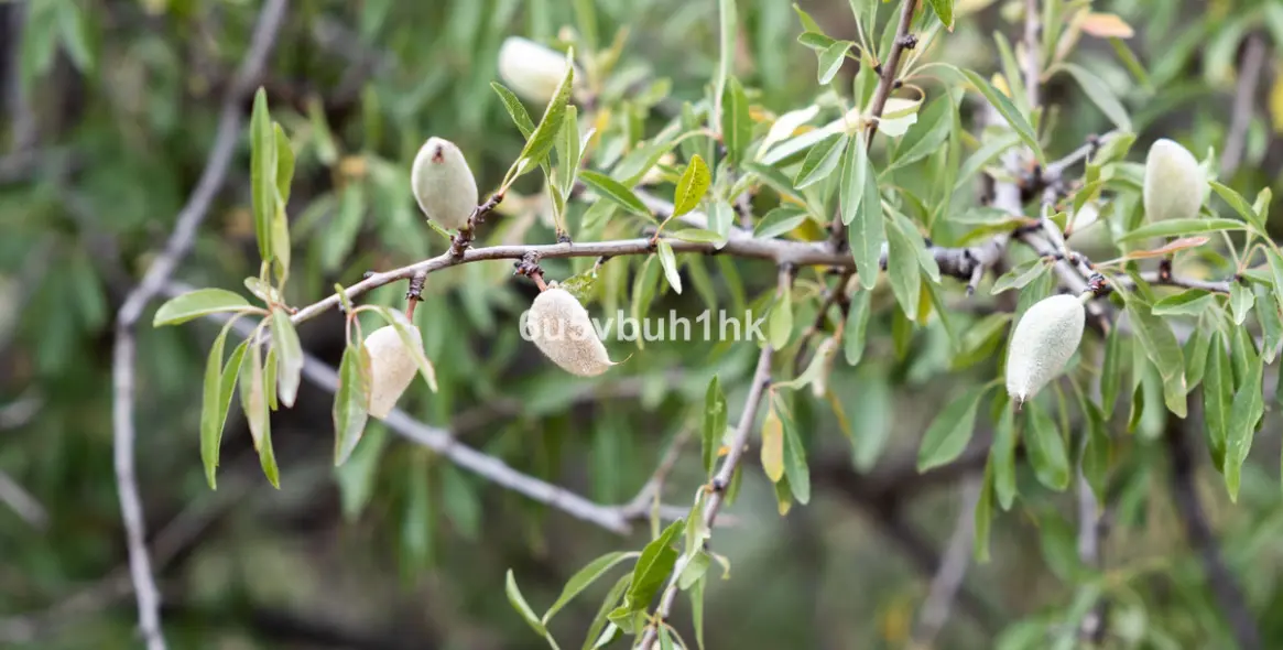 Продажа  жилого участка в Estacion de Cartama 14