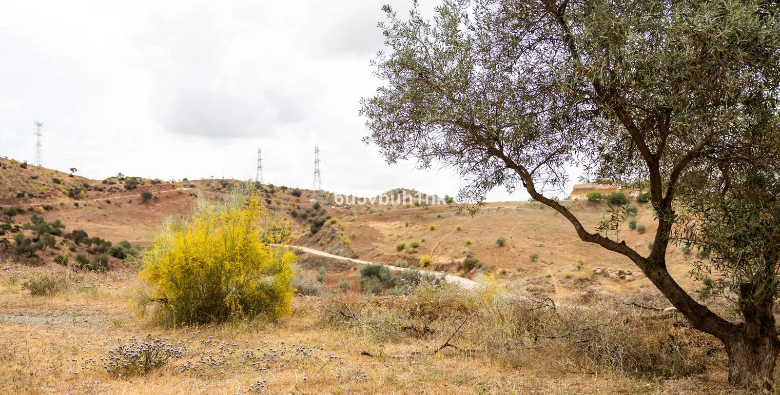 Sale of residential plot in Estacion de Cartama 3