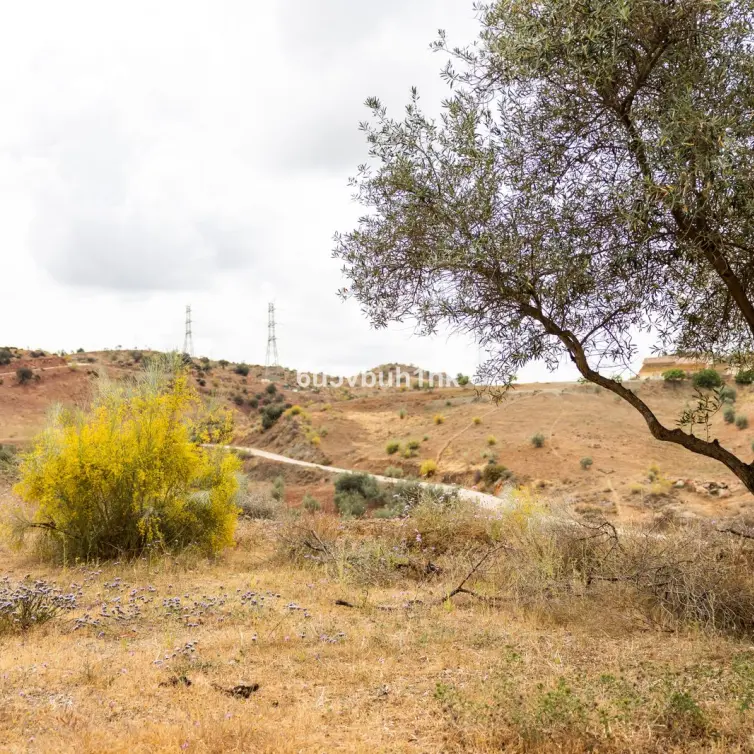 Sale of residential plot in Estacion de Cartama