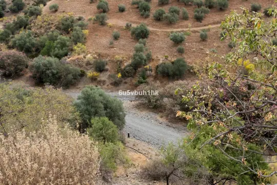 Image 4 thumb