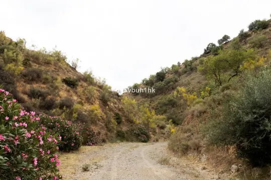 Image 8 thumb