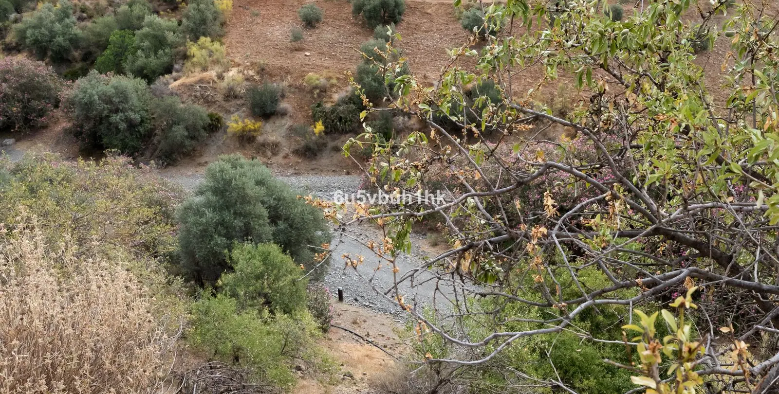 Sale of residential plot in Estacion de Cartama 11