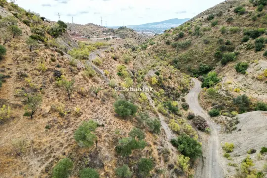 Image 17 thumb