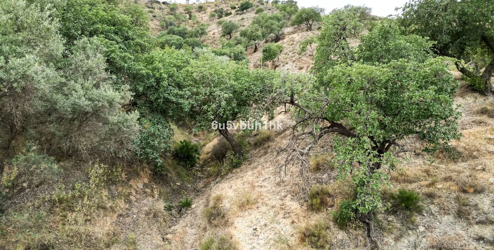 Sale of residential plot in Estacion de Cartama 24
