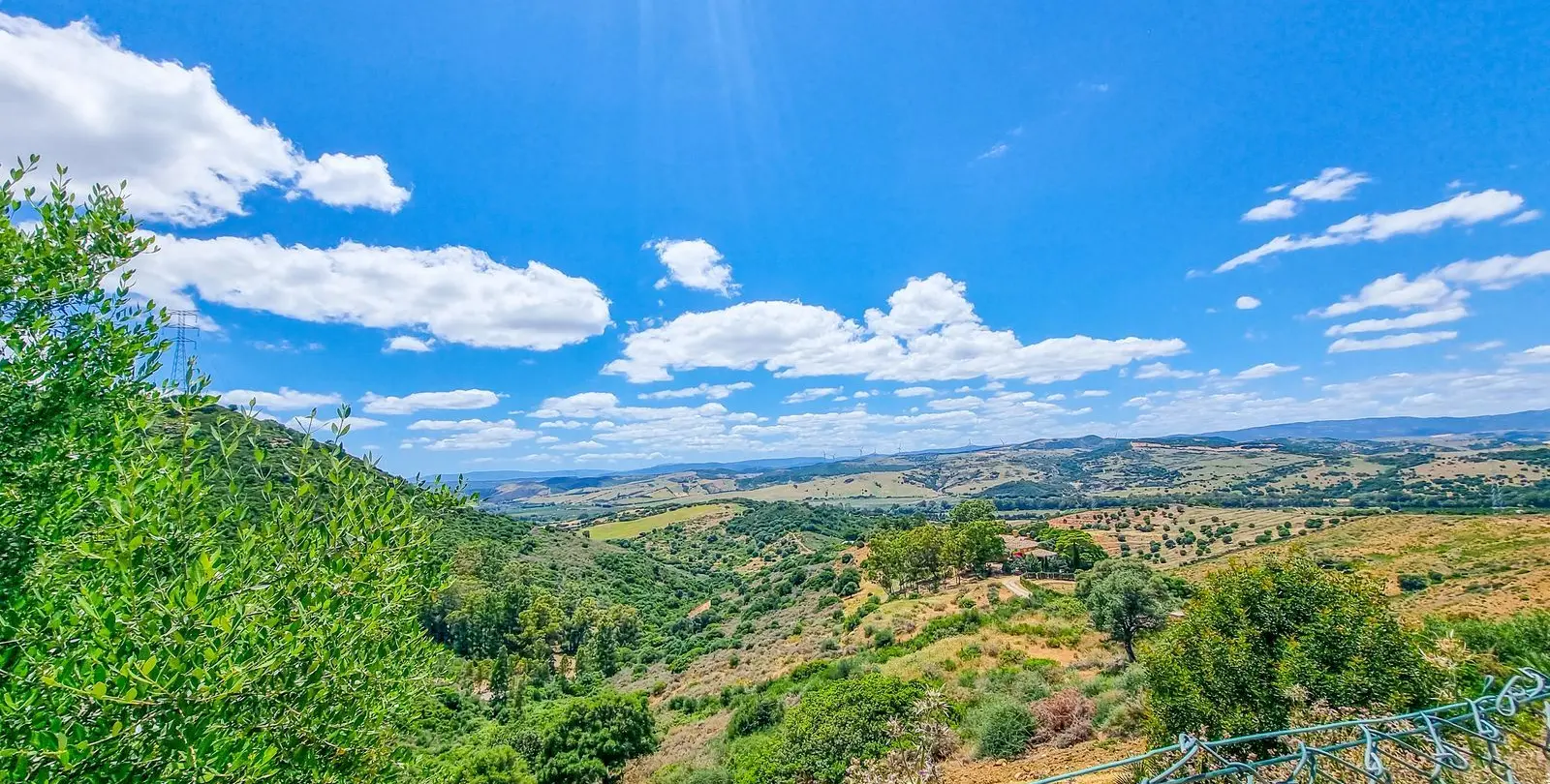 Sale of finca - cortijo in Casares 41