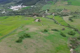 Image 4 thumb
